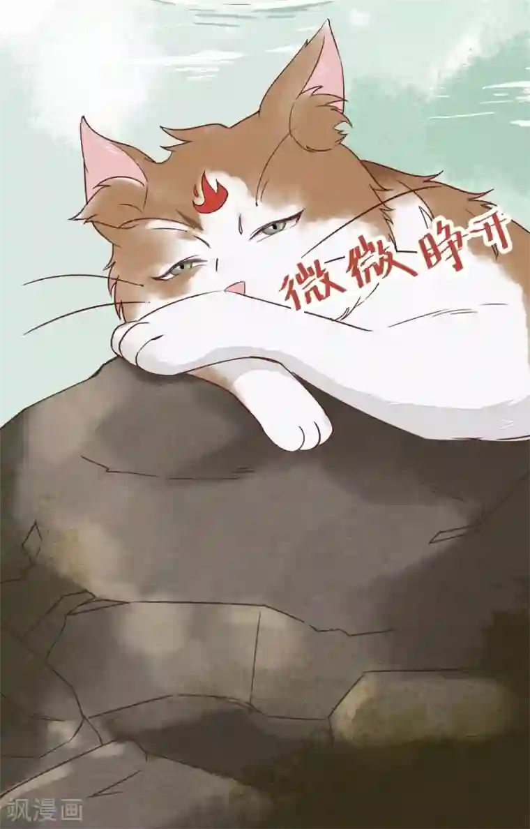 杀手王妃不好惹第29话 药石罔效