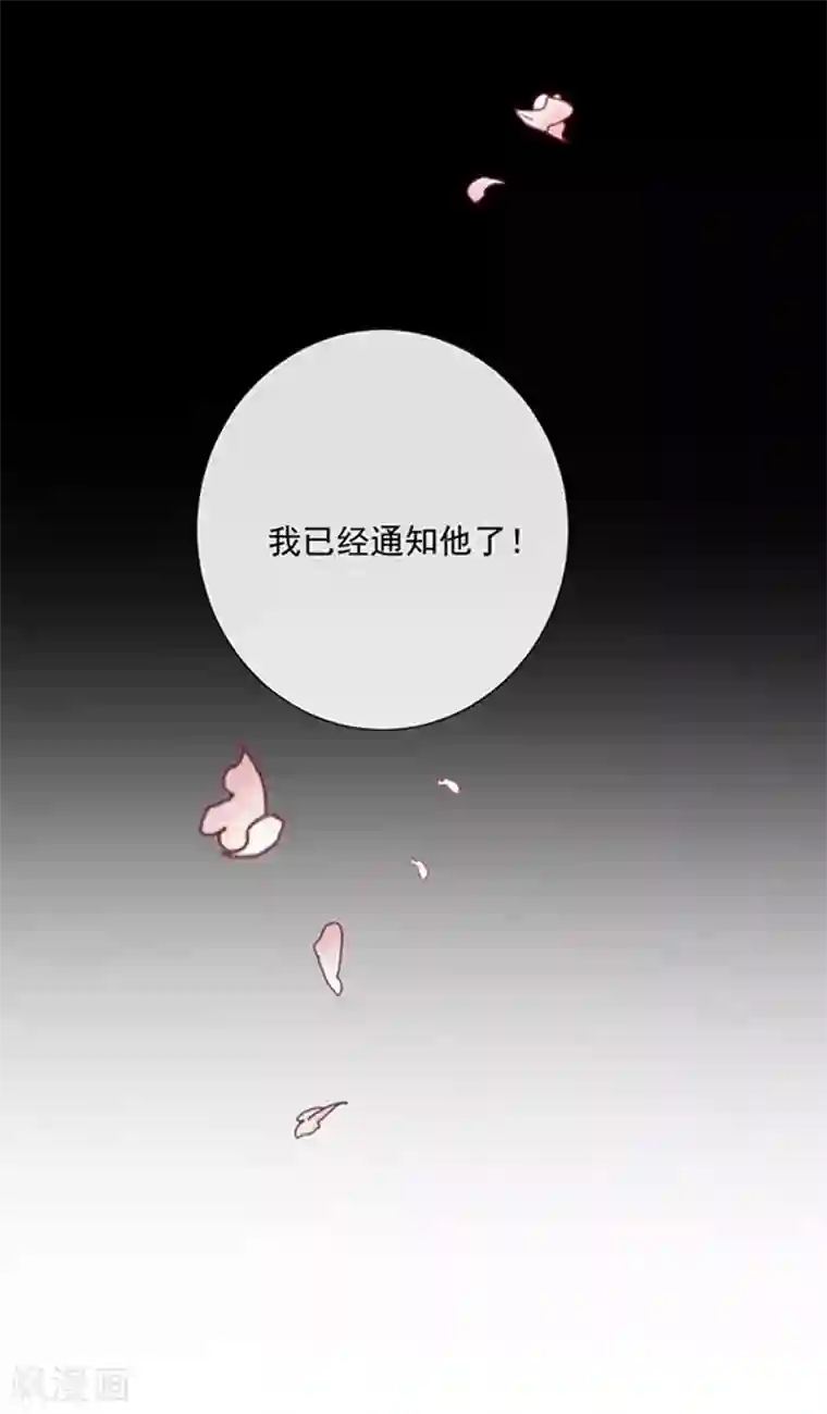 恶魔，别吻我第186话 世外桃源