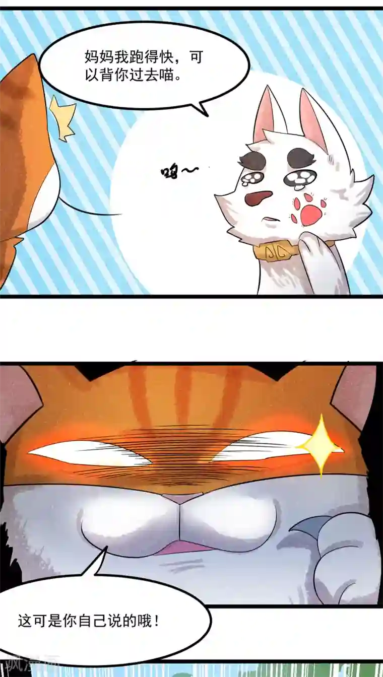 杨戬番外1 夭寿！一只狗怎么能妄想变成猫？