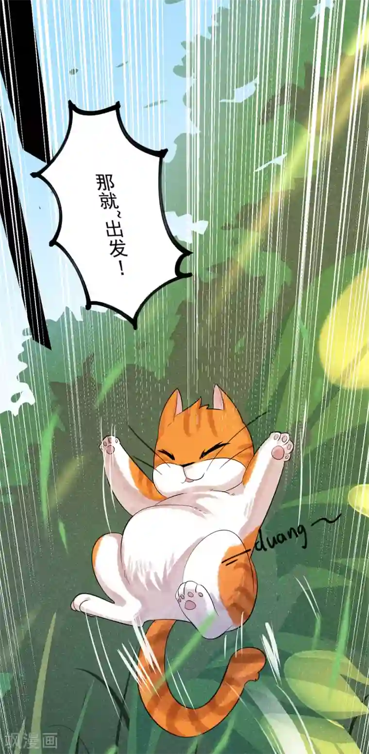 杨戬番外1 夭寿！一只狗怎么能妄想变成猫？