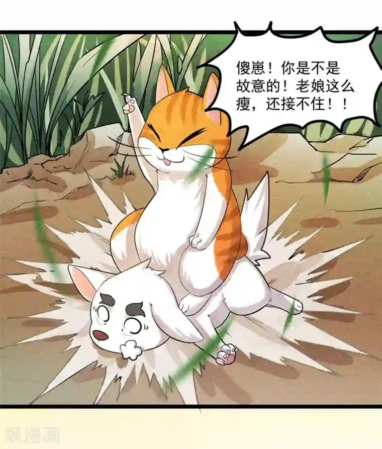 杨戬番外1 夭寿！一只狗怎么能妄想变成猫？