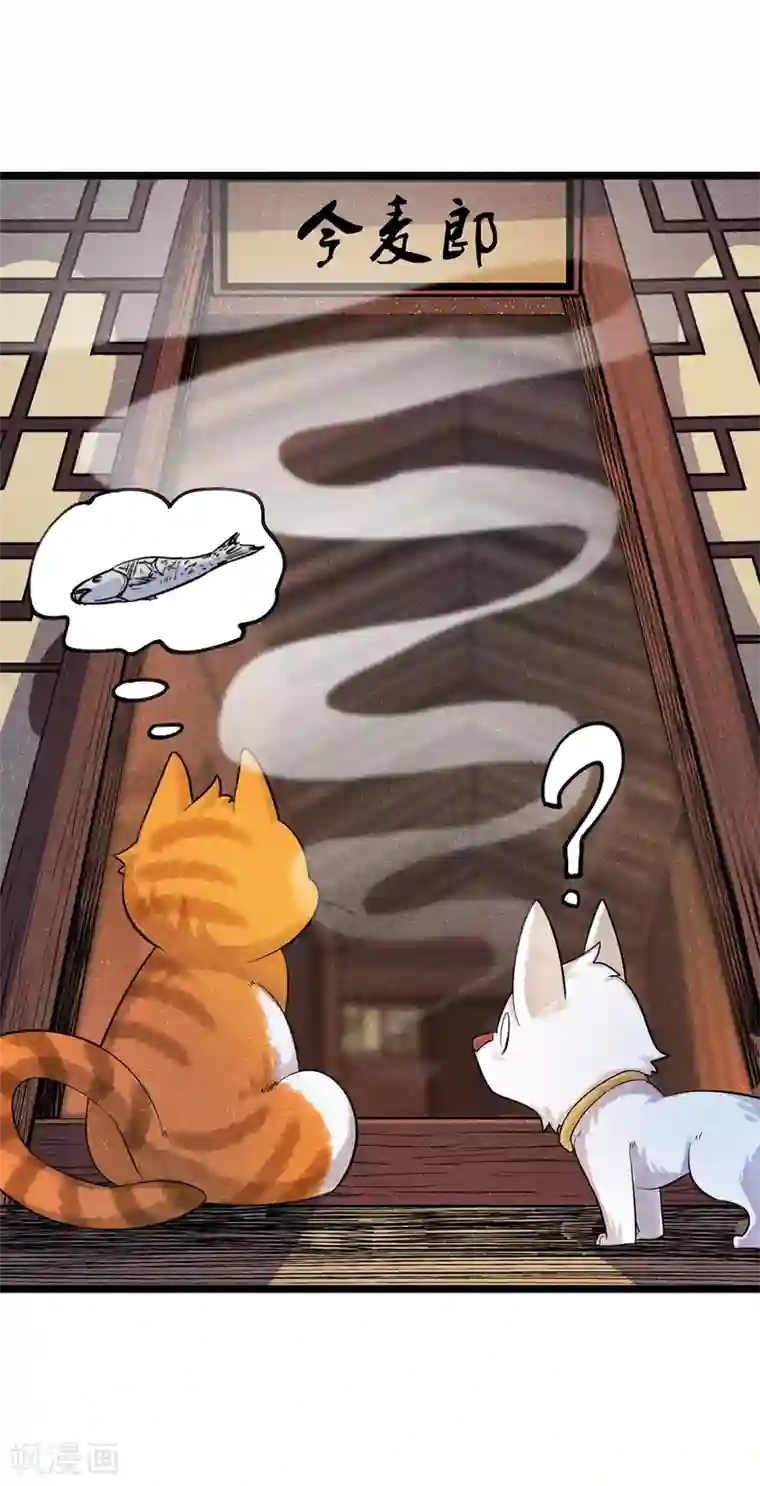 杨戬番外1 夭寿！一只狗怎么能妄想变成猫？