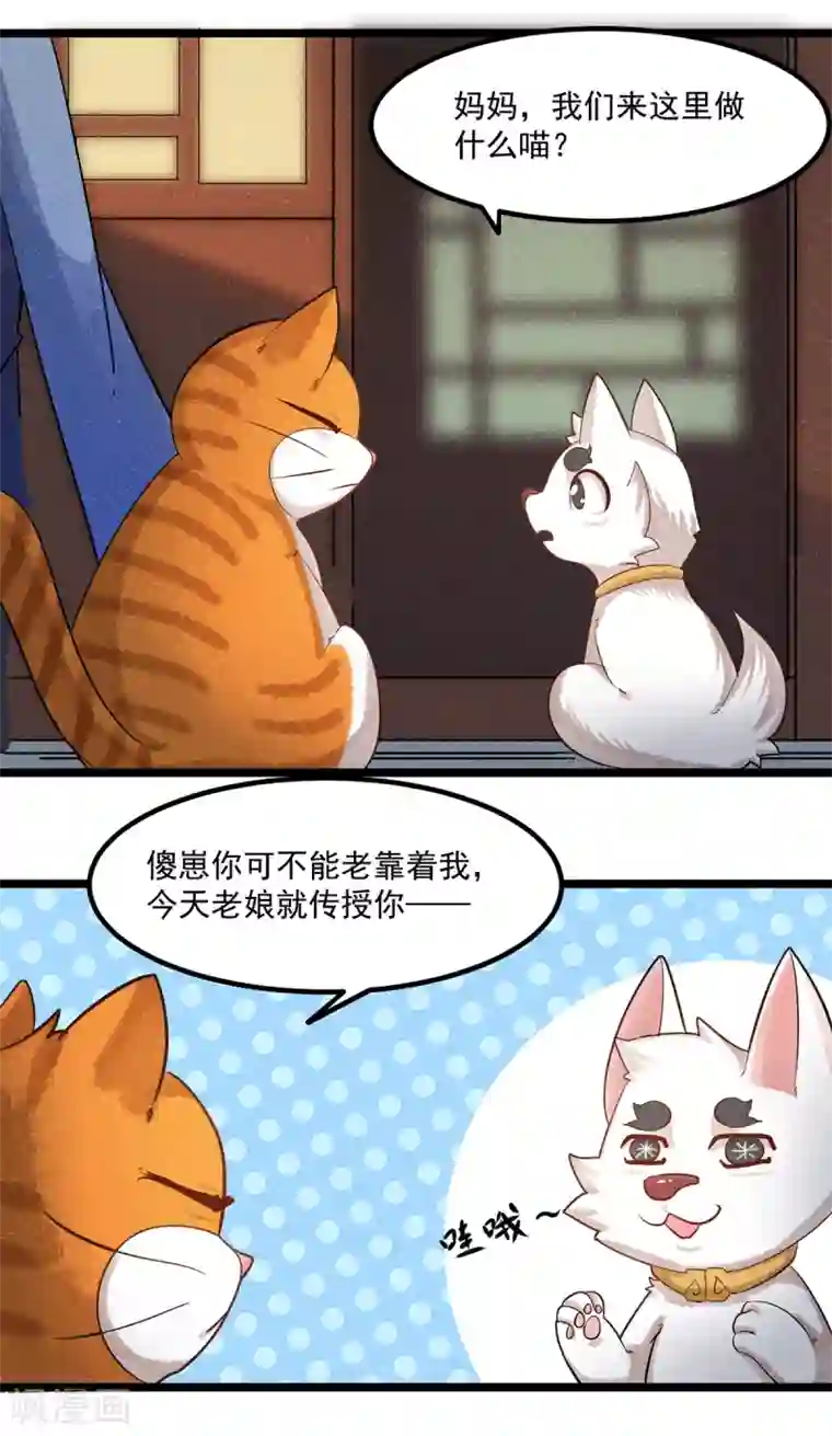 杨戬番外1 夭寿！一只狗怎么能妄想变成猫？