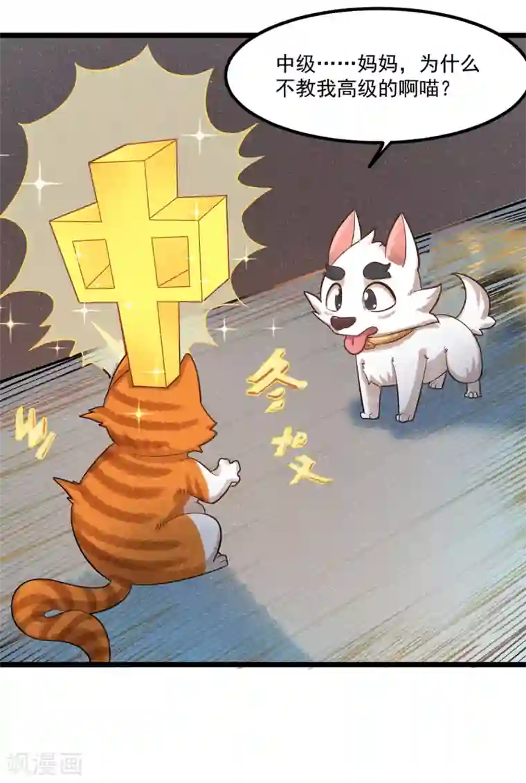 杨戬番外1 夭寿！一只狗怎么能妄想变成猫？