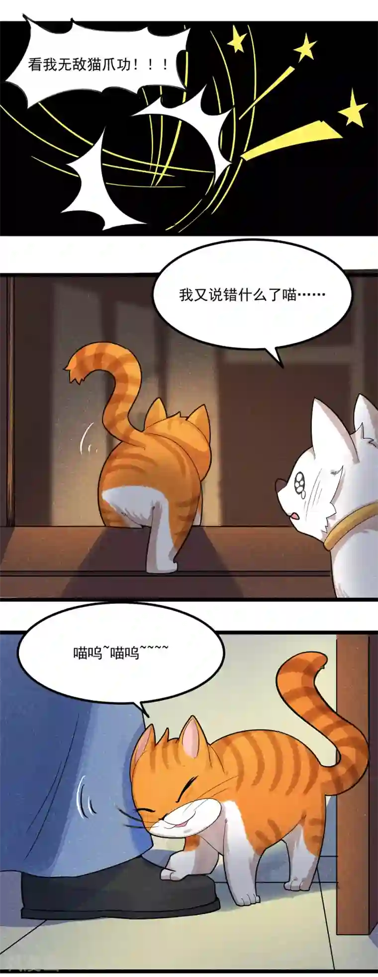杨戬番外1 夭寿！一只狗怎么能妄想变成猫？