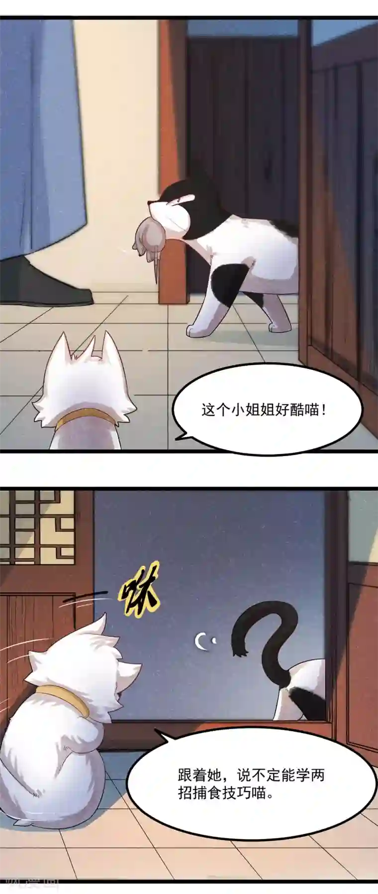 杨戬番外1 夭寿！一只狗怎么能妄想变成猫？