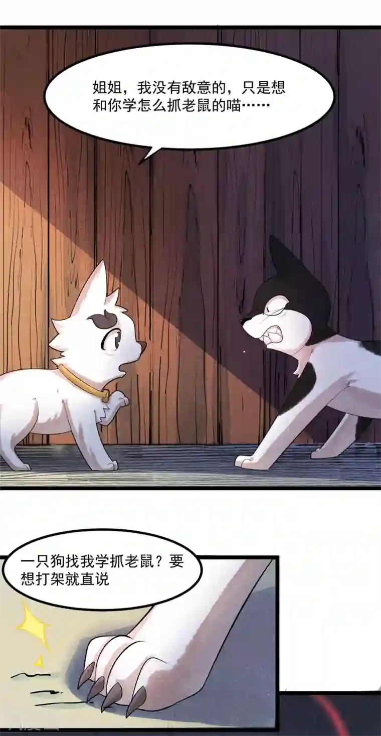 杨戬番外1 夭寿！一只狗怎么能妄想变成猫？