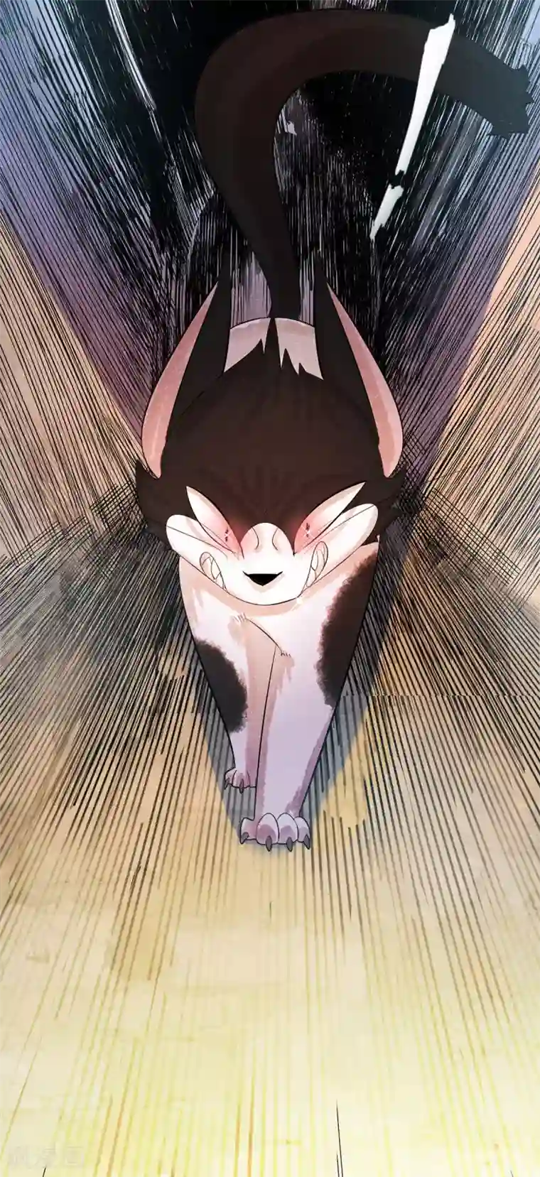杨戬番外1 夭寿！一只狗怎么能妄想变成猫？