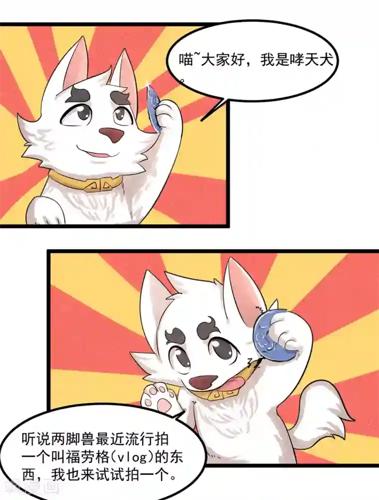 杨戬番外1 夭寿！一只狗怎么能妄想变成猫？