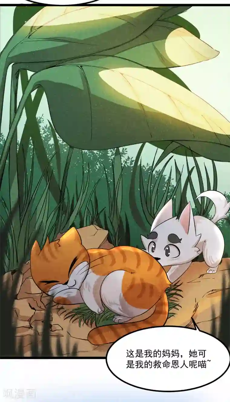 杨戬番外1 夭寿！一只狗怎么能妄想变成猫？