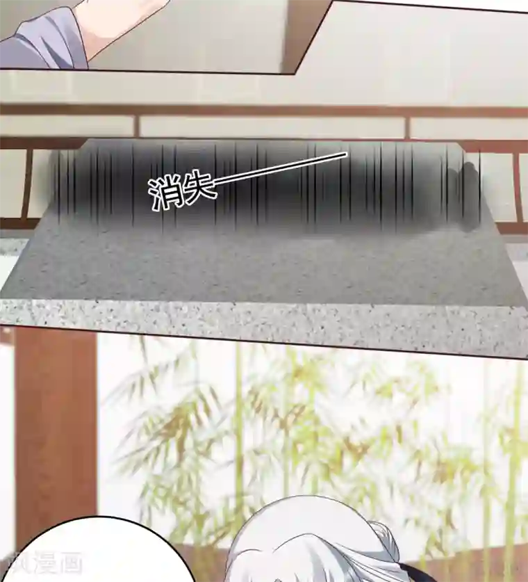 神医毒妃太嚣张第144话 真正的主人