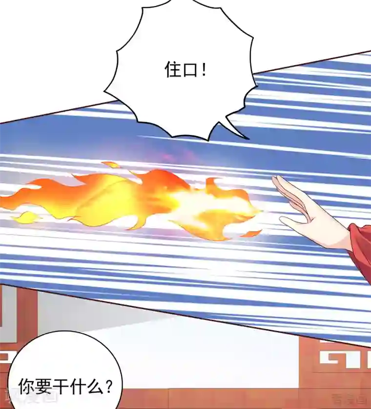 神医毒妃太嚣张第145话 另一个身份