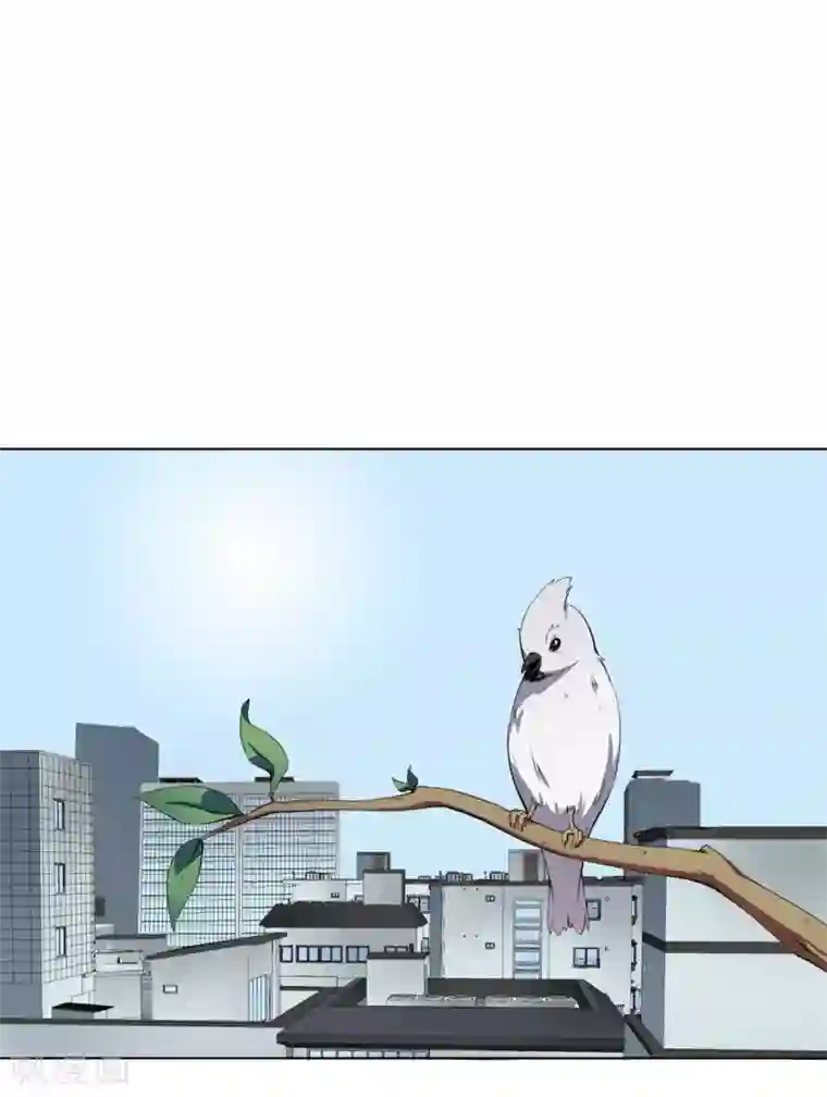 十感巡游者第4话