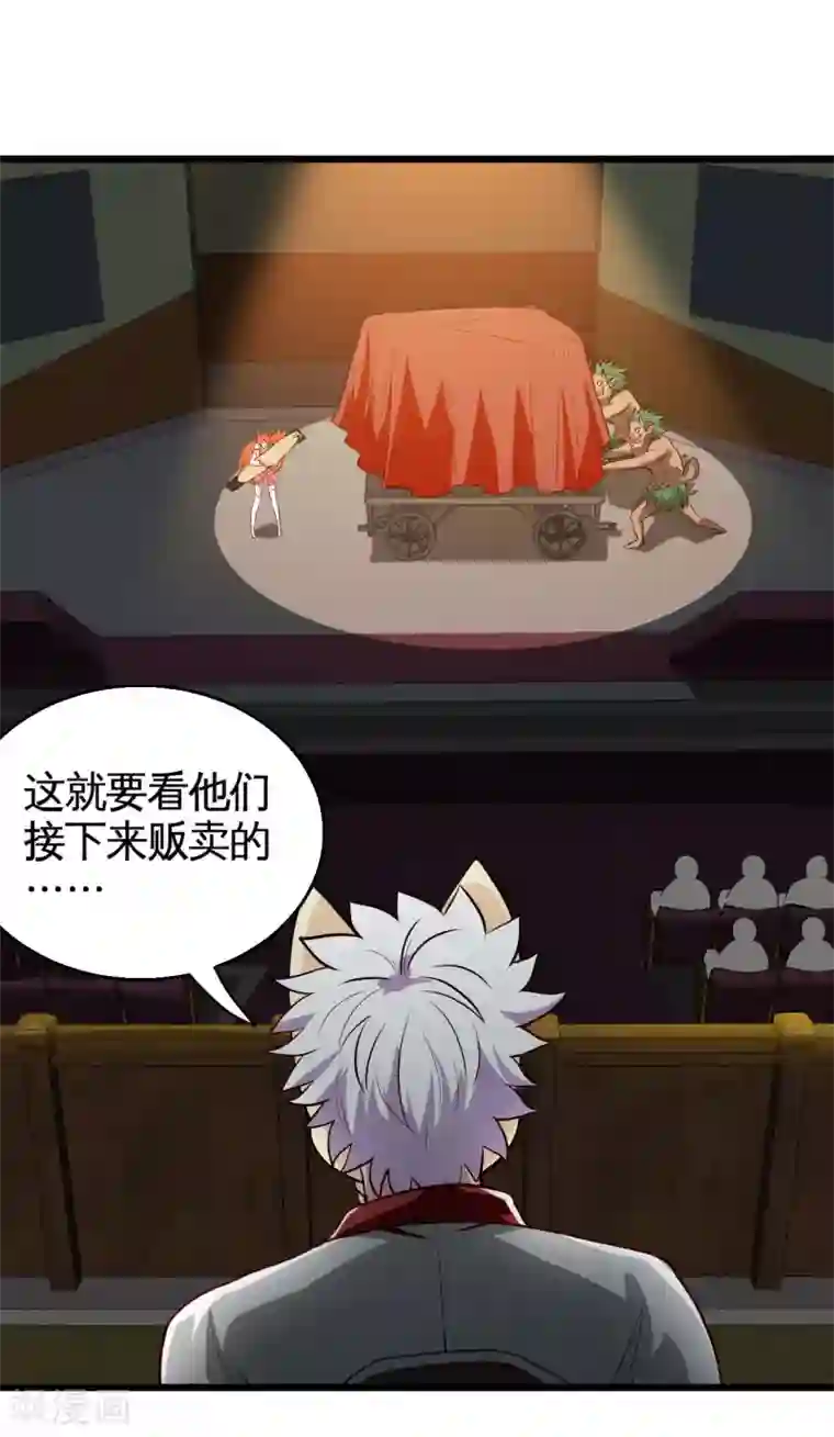 地府我开的第534话 拍卖