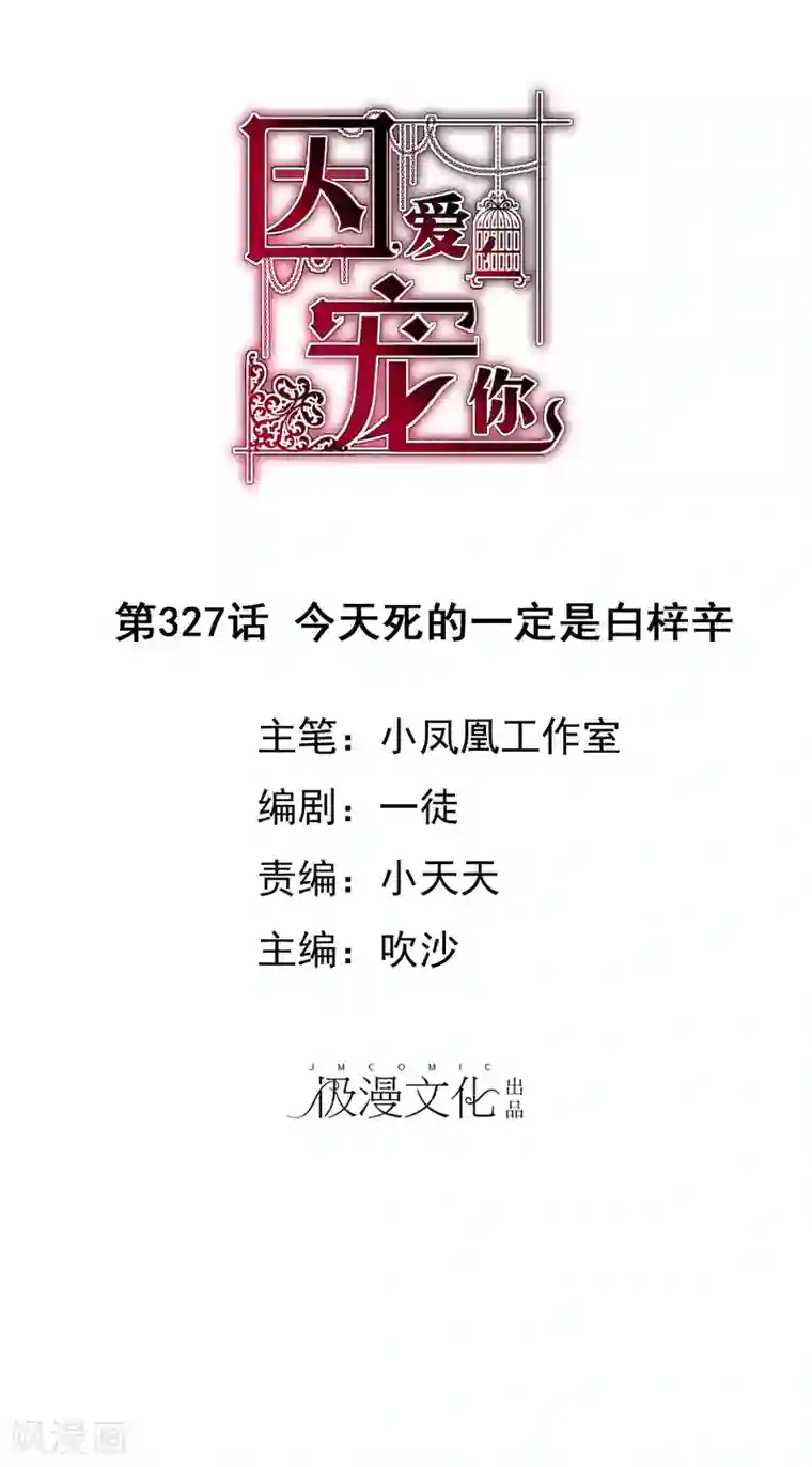 因爱宠你第327话