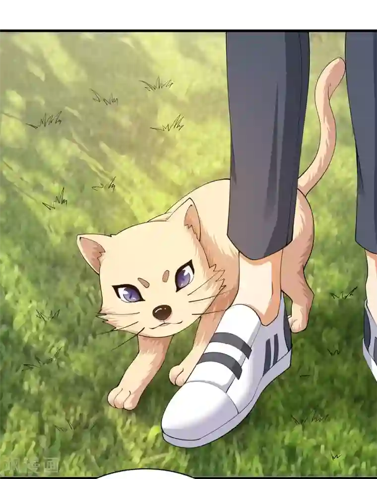 我的神级超能手表第31话 会变猫的女孩