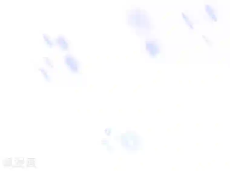 欧米茄档案第81话 PUA凶杀案9