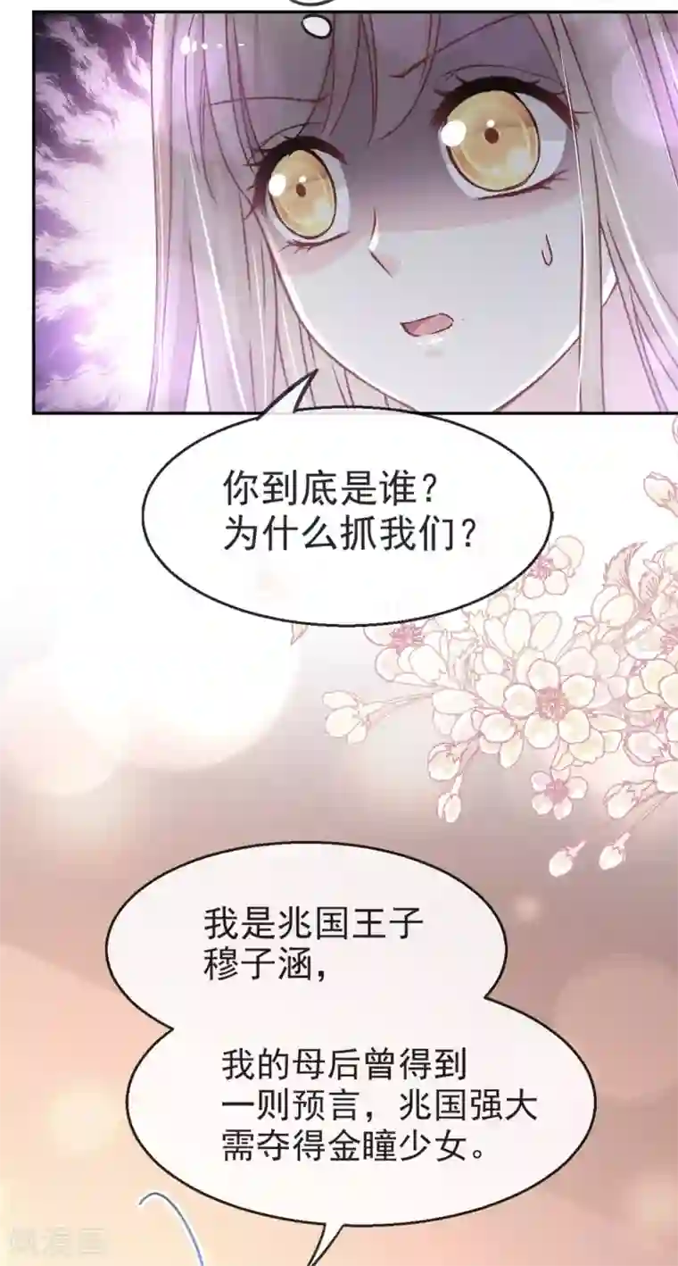 天下第一宠第49话 要兆国付出代价