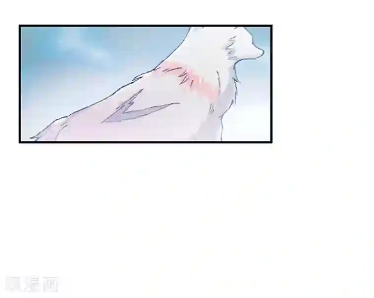 狼王的致命契约第18话 秘密