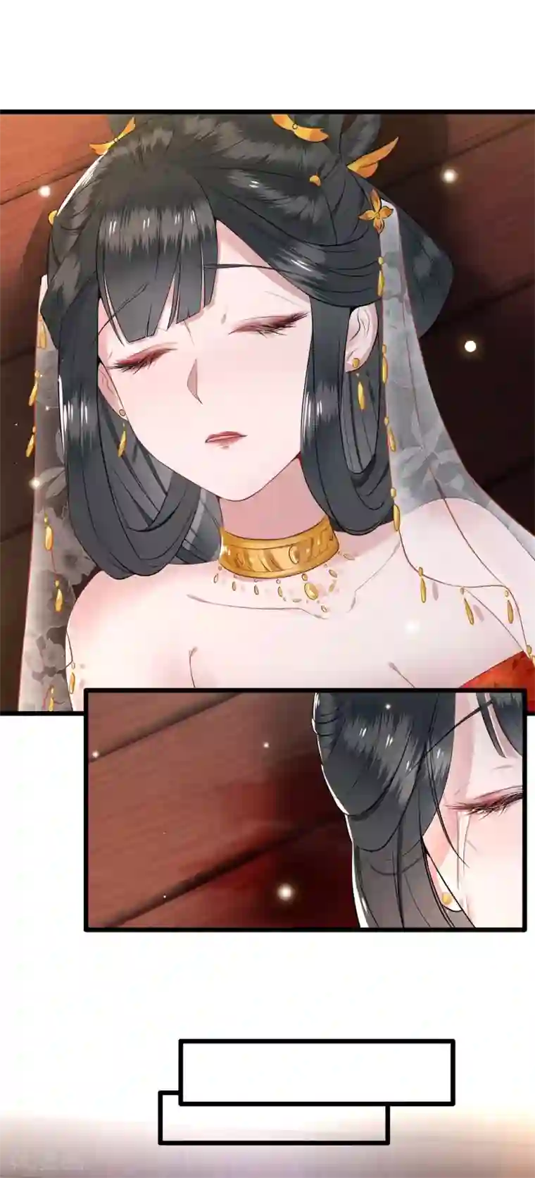 这个王妃路子野预告