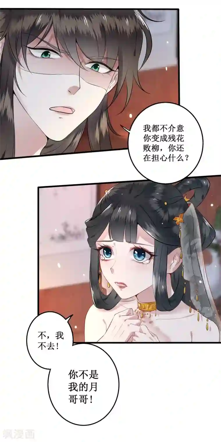 这个王妃路子野预告