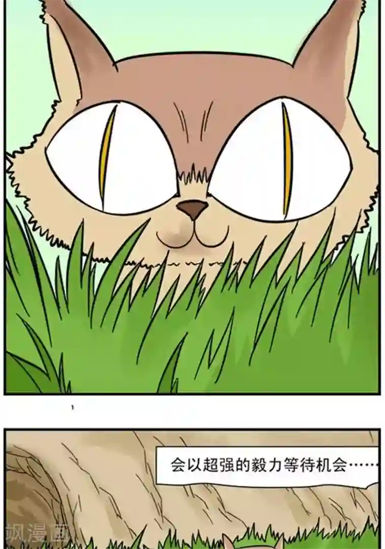 辛巴狗海洋大冒险辛巴狗冰川大冒险11 小猫篇1