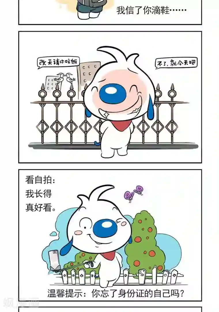 辛巴狗日常第14话 人生骗局