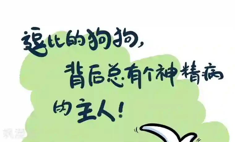 辛巴狗的神经语录第24话