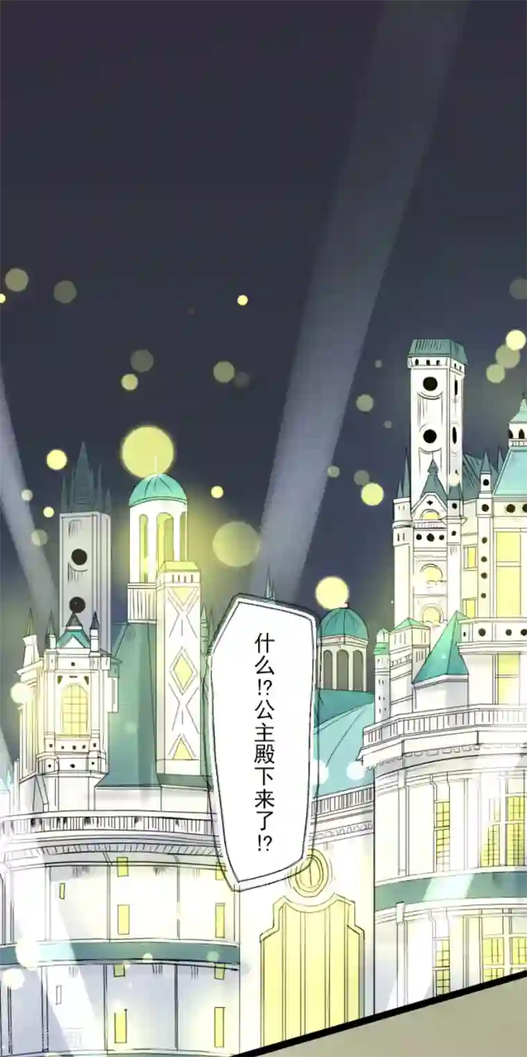 他和她的魔法契约第94话 王城派对2