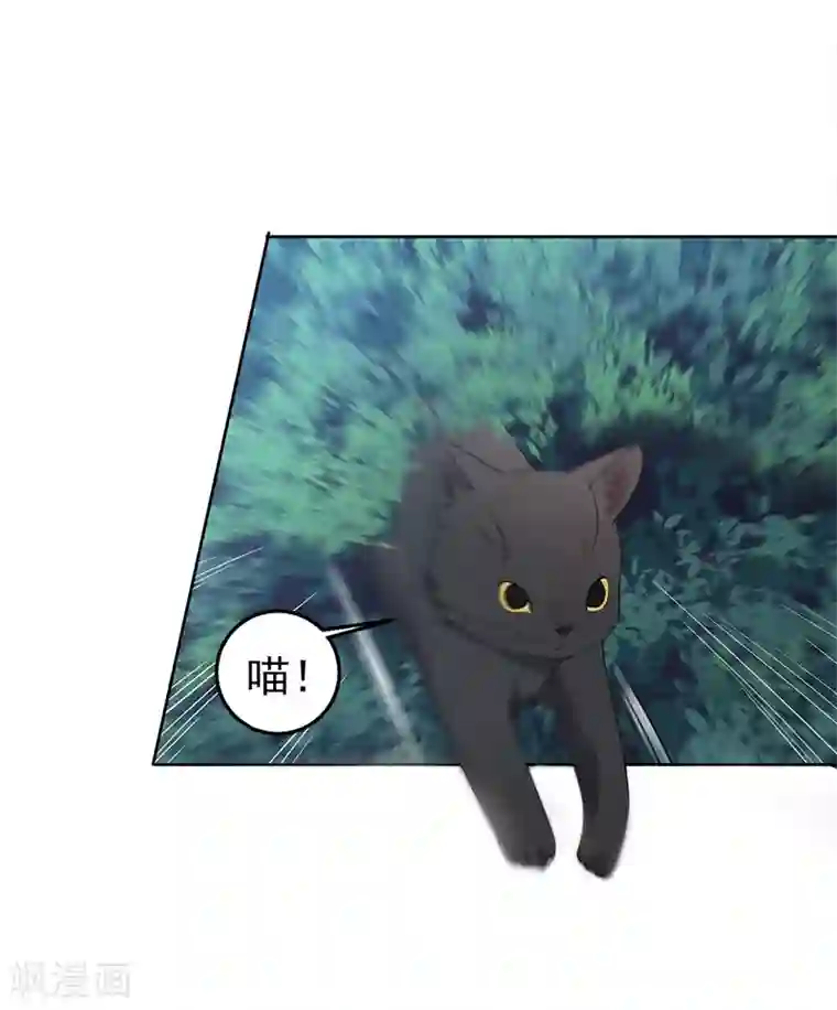 狂女重生：纨绔七皇妃第269话 焰王爷