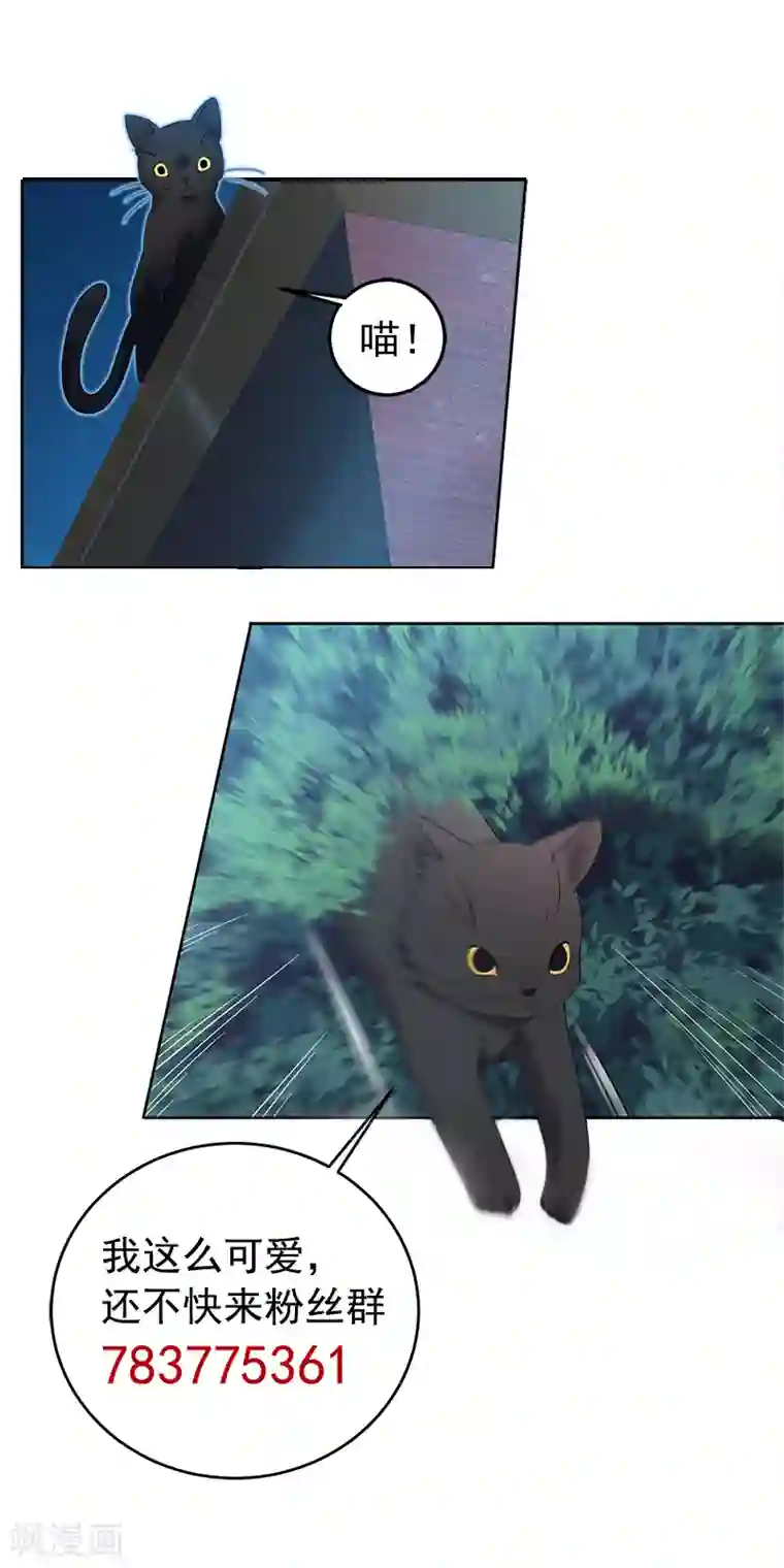 狂女重生：纨绔七皇妃第270话 这么不经逗