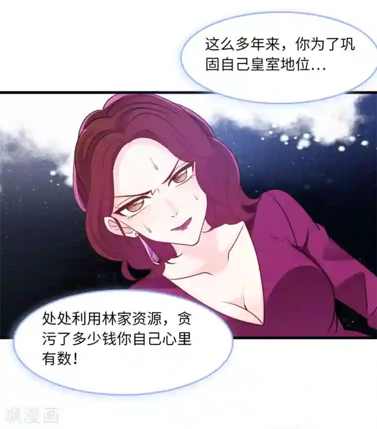 总裁爹地追上门第66话 林叶枫的母亲