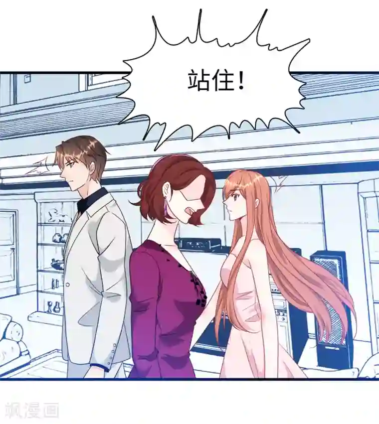 总裁爹地追上门第66话 林叶枫的母亲
