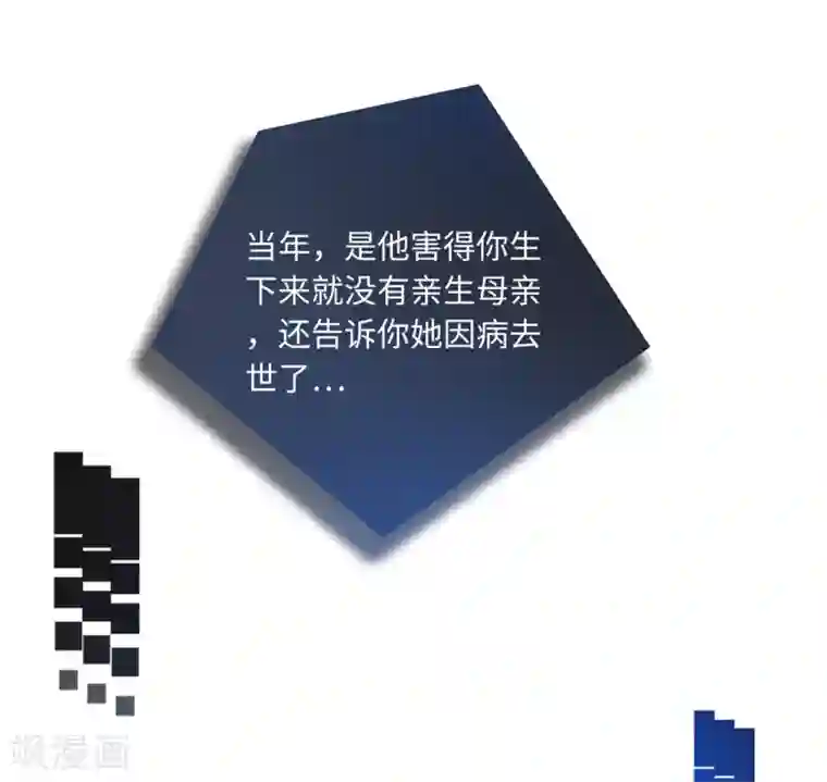 总裁爹地追上门第66话 林叶枫的母亲