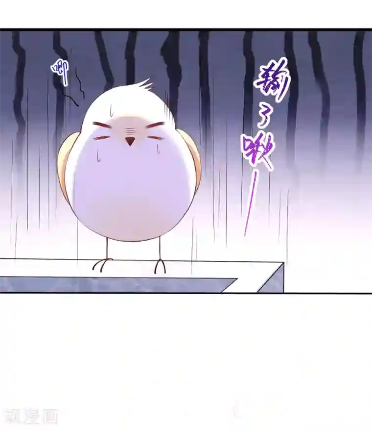 惊世狂妃第35话 似曾相识的感觉