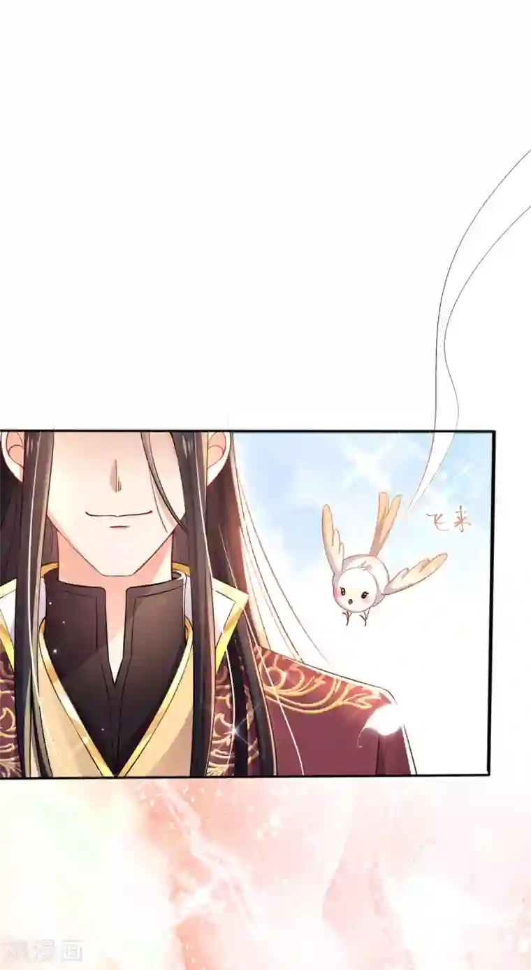 惊世狂妃第36话 压上婚约的赌局