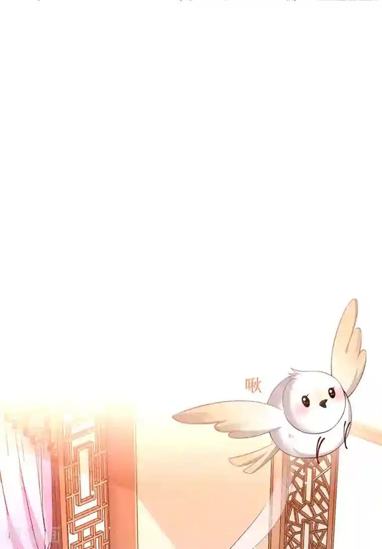 惊世狂妃第36话 压上婚约的赌局