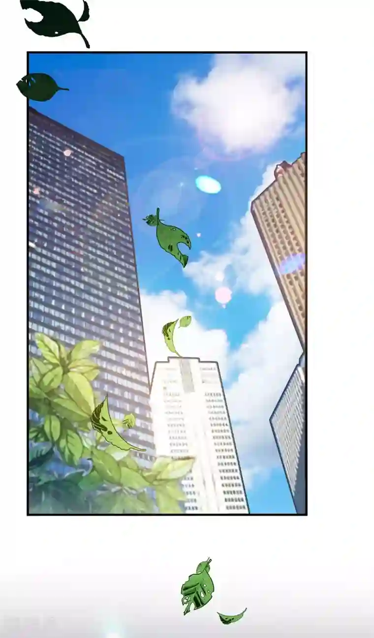 纯情陆少第213话 都别想好过！