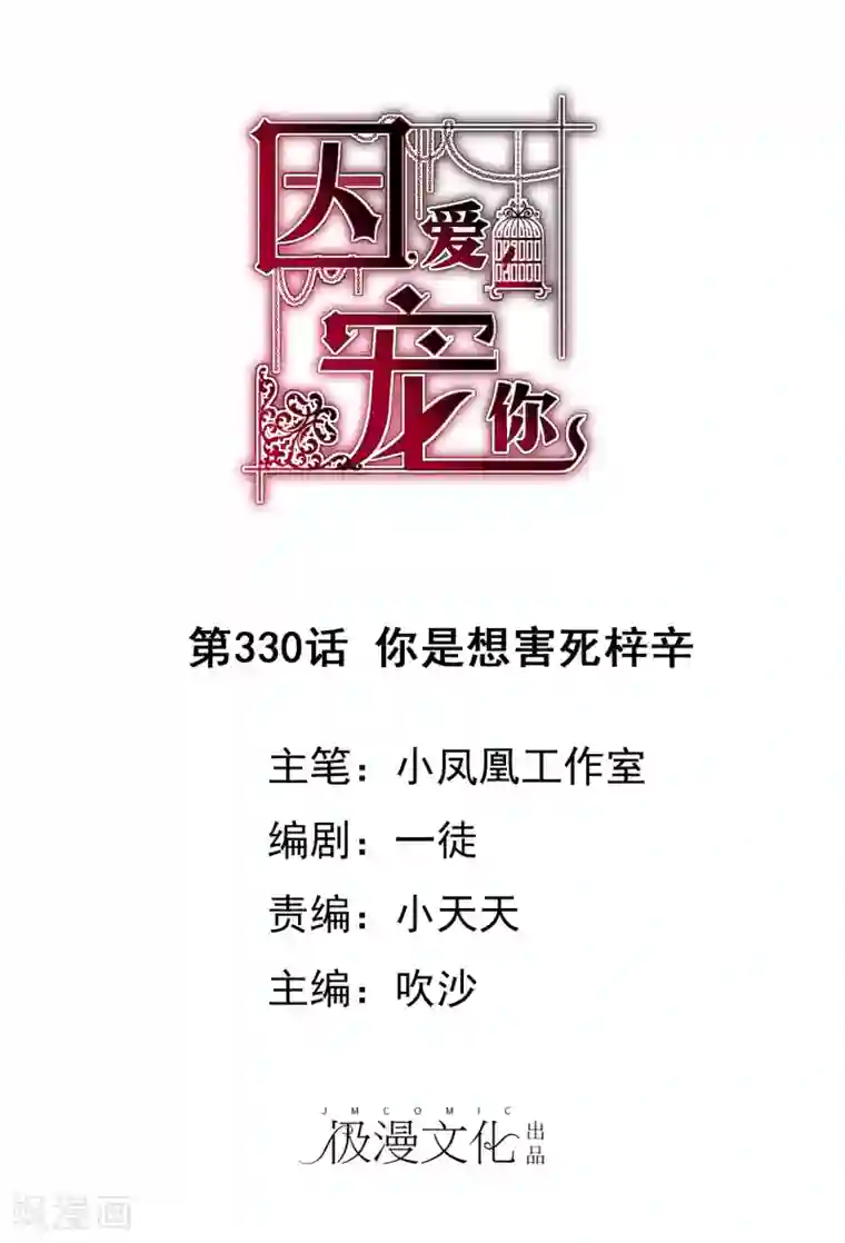 因爱宠你第330话