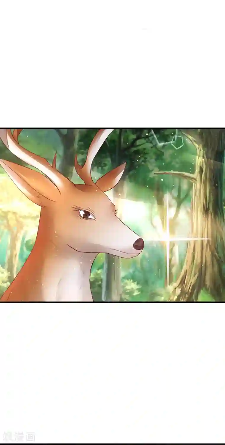 养兽为妃第46话 熊口夺命，坠入悬崖