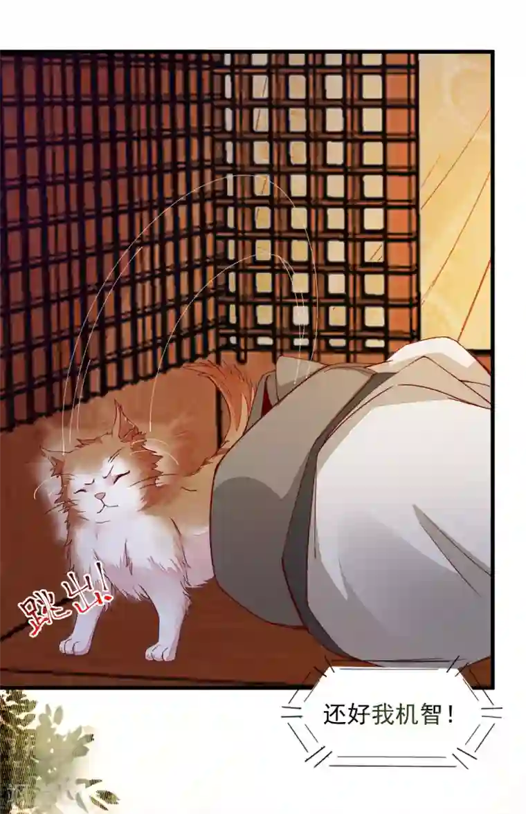杀手王妃不好惹第31话 情深