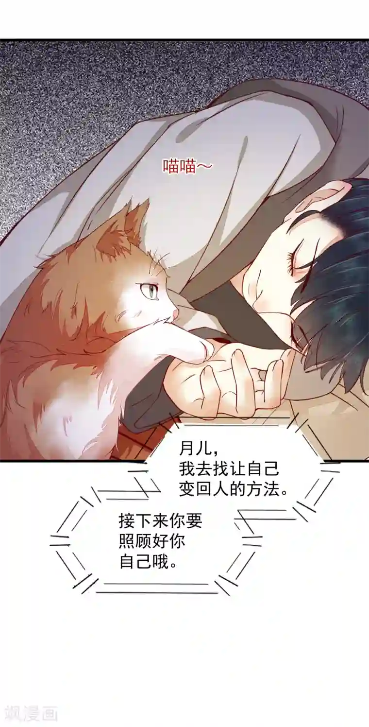 杀手王妃不好惹第31话 情深