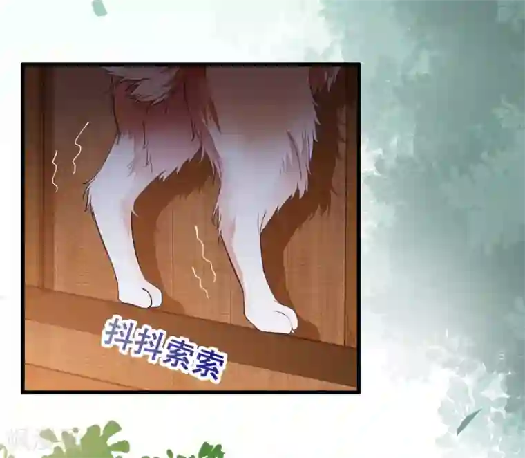 杀手王妃不好惹第31话 情深