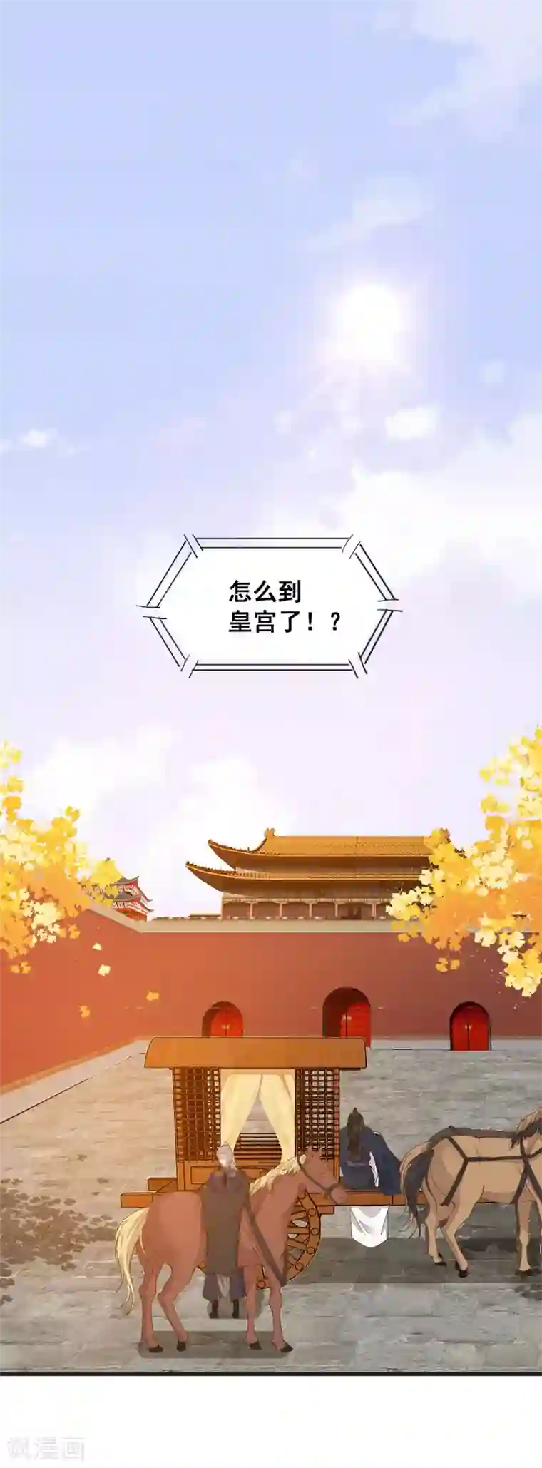 杀手王妃不好惹第32话 喵仙人？