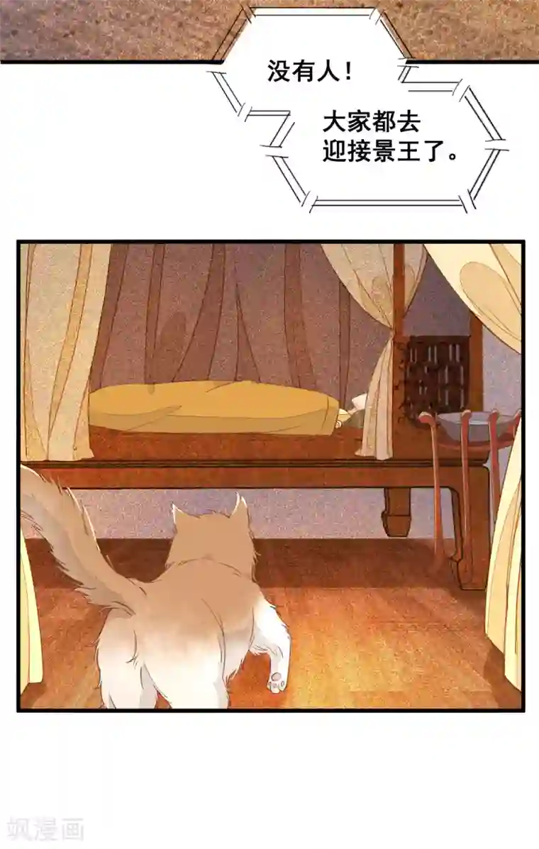 杀手王妃不好惹第32话 喵仙人？