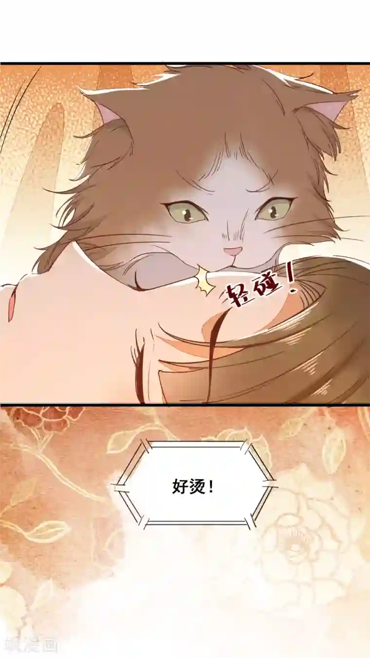 杀手王妃不好惹第32话 喵仙人？