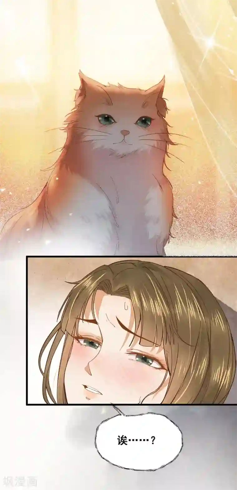 杀手王妃不好惹第32话 喵仙人？