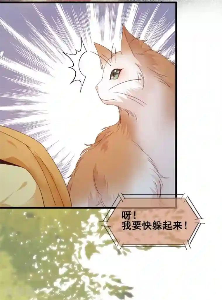 杀手王妃不好惹第32话 喵仙人？