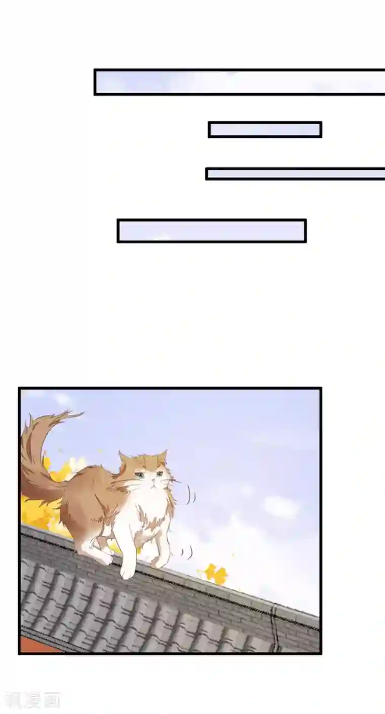 杀手王妃不好惹第32话 喵仙人？