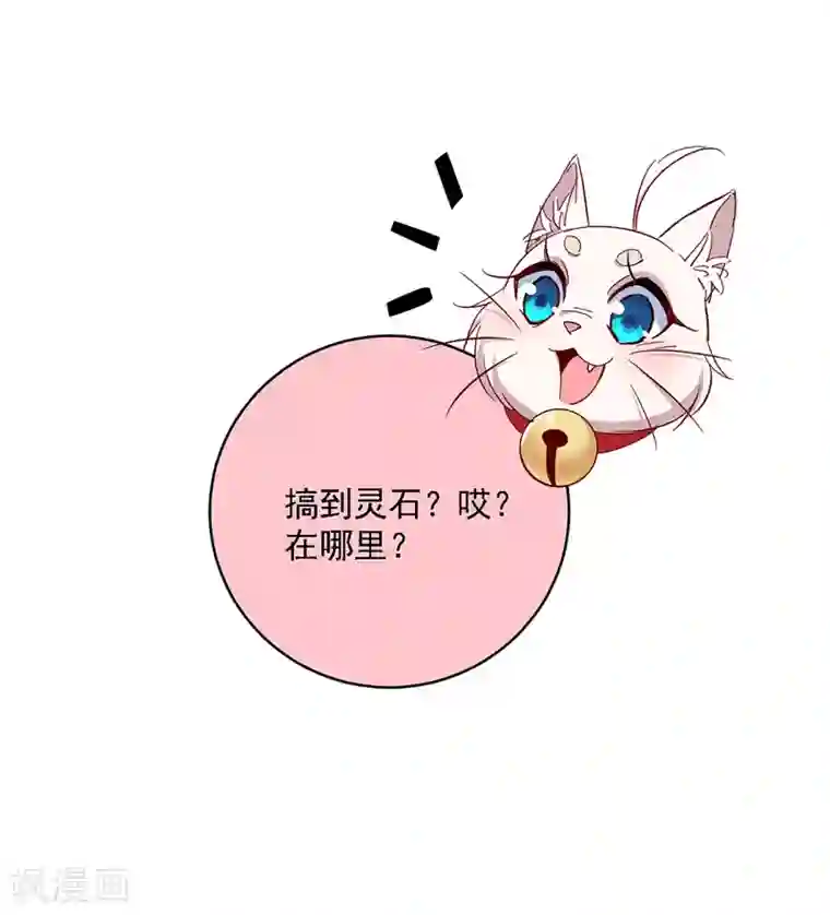 我在异界养男神：神医九小姐第23话 去往赏石会